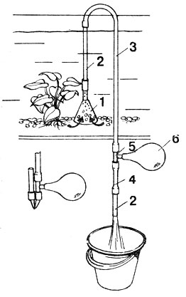 Чистка грунта в аквариуме: 1 - воронка; 2 - пластиковая трубка; 3 - шланг; 4 - резиновая трубка; 5 - тройник; 6 - резиновая груша. Слева - положение шланга во время засасывания воды грушей