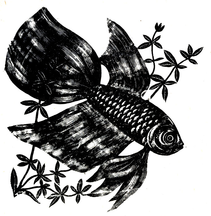 Рыба в аквариуме