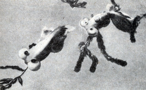 Рис. 91б. Жемчужинка